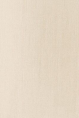 Tilla dienas aizkari