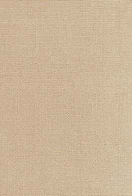 Satīna dienas aizkari